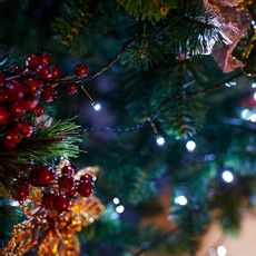 Гирлянда Твинкл-Лайт 20 м, темно-зеленый ПВХ, 160 LED, цвет белый